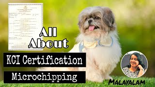 📜 Know Everything About KCI Certificate amp Microchipping  Malayalam  Pavis Pawdcast 🐾 [upl. by Robbert]