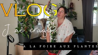 VLOG 🛍️ Je me suis pas Ruinée pour tout ca 🪴🌾 ACHATS [upl. by Eserehc391]