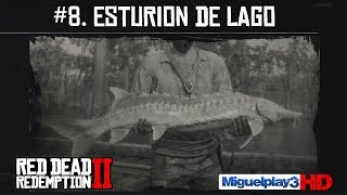 Localización Esturión de Lago  8Compendio Peces  Red dead redemption 2 [upl. by Palla936]