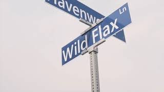 Wild Flaxx Blocc Crips [upl. by Nevil]