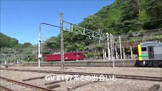 2024年5月14日EF81141号機 E235系配給後田端操→長岡 単機回送水上 [upl. by Maitund]