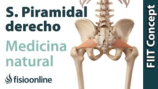 Síndrome del piramidal derecho  Visión desde la fisioterapia y la medicina natural [upl. by Arrekahs]