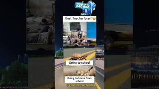 Best teacher ever 😅  meme memes funny shortvideo trending youtube shorts [upl. by Aihsaei]