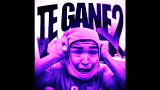 TE GANE 2 Slowed phonk LarinPHONK [upl. by Monjan]