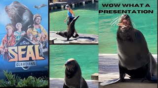 SEAL SHOWACTIVITIESSEAWORLDTHEME PARKGOLD COASTQUEENSLANDAUSTRALIA [upl. by Ostler]