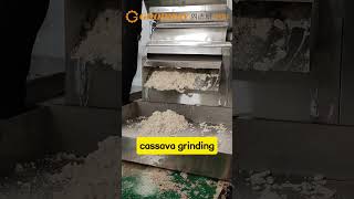 Full stainless steel cassava grinding machine cassava grinder machine for cassava garri processing [upl. by Ettena]