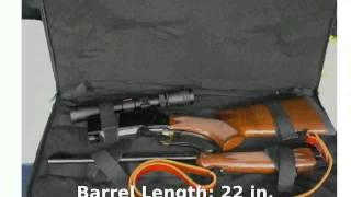 Browning BLR Lightweight Stainless with Pistol Grip 270 Winchester Rifle  Features [upl. by Renee]