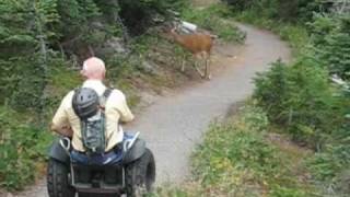 Segway® Wheelchair Kit on Forest Trails [upl. by Safir]