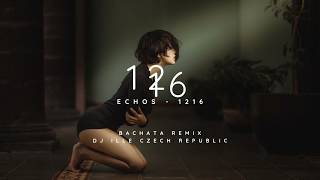 Echos  1216  Bachata Remix DJ Ille [upl. by Ailongam52]