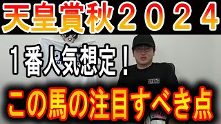 【天皇賞秋 2024】この馬の注目すべき点！ウマキんグニートボクロチキン天皇賞秋2024 [upl. by Penman]