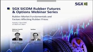 Rubber Market Fundamentals and Factors Affecting Rubber Prices [upl. by Anitsud262]