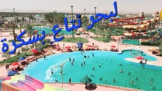 aqua palm biskra algeria  بسكرة اكوابالم  🇩🇿 الجزائر [upl. by Acirej]