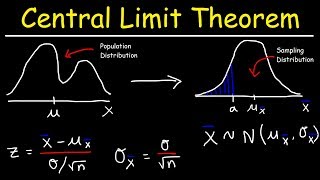 Central Limit Theorem  Sampling Distribution of Sample Means  Stats amp Probability [upl. by Eissirk]