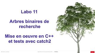 L11  arbres binaires de recherche en c et tests avec catch2 [upl. by Rattan]