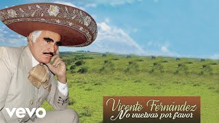 Vicente Fernández  No Vuelvas por Favor Lyric Video [upl. by Utter]