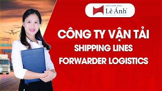 Công Ty Vận Tải  Nên Thuê Phương Tiện Vận Tải Từ Shipping Lines hay Forwarder Logistics [upl. by Eelydnarb]