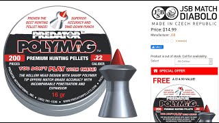 JSB Predator Polymag 22 Pellets Review [upl. by Lodi773]