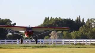 Carbon Cub Basics Landing [upl. by Miner3]