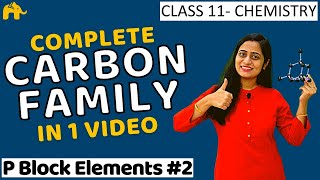 p block elements Class 11  Carbon family CBSE NCERT NEET JEE  One Shot Hindi [upl. by Peppard]