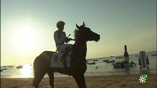 Carreras de caballos de Sanlúcar  Segundo ciclo Resumen jueves [upl. by Hafinah]