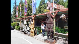 Redcrest Humboldt County California The Avenue of the Giants [upl. by Mehalek]