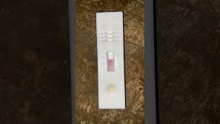 pregnacytest pregnancytest kit baby motivation result positive [upl. by Leasim]