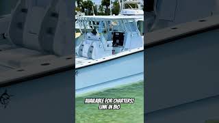 Our 34 freeman is available for hire out of Naples Florida for offshore fishing [upl. by Eerahs]