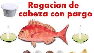 Quien hace la Rogación de Cabeza con Pargo el Obà el Babalawo o los dos [upl. by Annoid660]