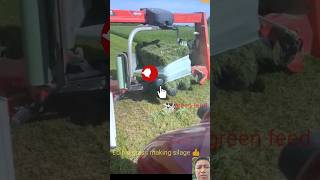 Edible grass 🍀 silage making technique shorts agriculture technology agritech automobile [upl. by Dranyer]