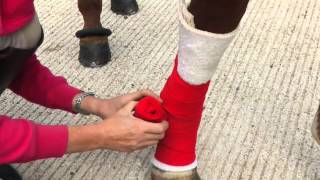 Jo Jacksons Top Tips  How to Apply a Stable Bandage using Fibregee  HorseampRider Magazine [upl. by Zeke321]