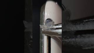 TEST Cleaning iPhone audio jack with hot glue asmr waitforit satisfying cleaning [upl. by Olsson776]