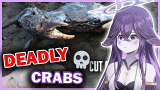 Are Mudcrabs 𝗗𝗘𝗔𝗗𝗟𝗬  Mega Reacts [upl. by Tloh]