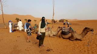 Merzouga 3 Days2 Nights From Marrakech  Morocco Desert Tour [upl. by Ahsirhcal]