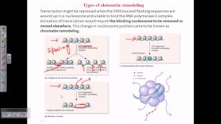 Types of chromatin remodeling [upl. by Aicats]