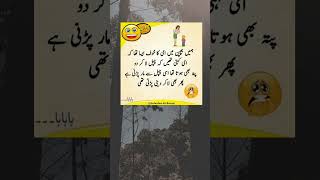 Mazahiya Funny Shayari  Comedy  Urdu Shayari  Very Very Funny And Beautiful Sarpraise [upl. by Meelak]