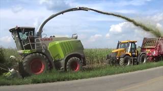 Chopping Corn Silage near Versailles Ohio  August 2017 [upl. by Olga]