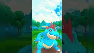 🐉Goodra destroyed giratina with draco meteor☄️ Feraligetr🌊 vs Togekiss🌈 [upl. by Nibur]