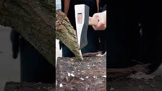 Wood chopping process with an axe goodtools to share [upl. by Philipa]