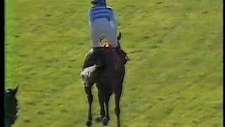 1987 Ayr Gold Cup Not So Silly Includes Replay [upl. by Akcemat]