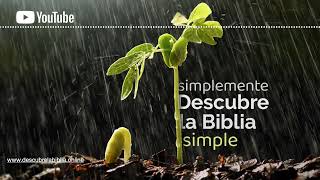 Génesis 14  Simplemente Descubre la Biblia Simple [upl. by Marge265]