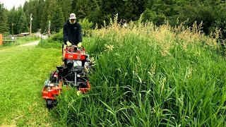 Helped My Wifes Friend MOW Her Overgrown GRASS That Was TALLER Than Me [upl. by Singer]