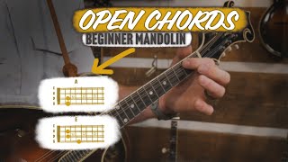 Mandolin Open Chords How to Play the A amp E Chords [upl. by Sibeal204]