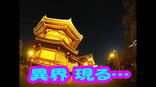 60秒の写真旅行【不忍池の夜は異界…？上野 辯天堂夜】 [upl. by Lorry856]