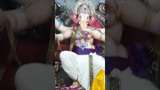 Majha bappa savanch bappa kiti God disto 🙏song ganpati shortsfeed ytshorts views shortsviral [upl. by Grissel]