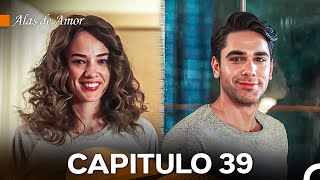 Alas de Amor Capitulo 39 Doblado En Español [upl. by Aicxela]