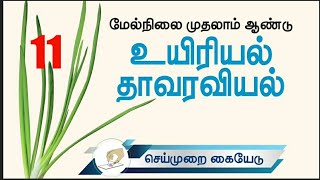 11th bio botany practical tamil medium  record [upl. by Nitsyrk]