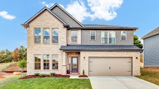 8744 Yellow Aster Rd Knoxville TN [upl. by Mannes]