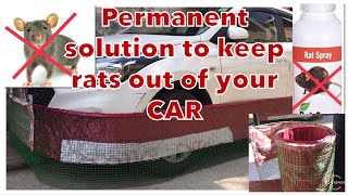 Car rat fencing  Best Ways to Keep Rats and Mice out of Your Car  How to protect car from rats 🐀 [upl. by Moncear407]