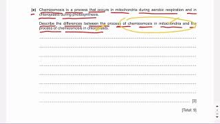 Chemiosmosis  Mitochondria vs chloroplast  A2 Biology [upl. by Bomke]