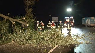 Sturmtief „Herwart“ Mehrere FeuerwehrEinsätze in der Region Osnabrück [upl. by Yerrot]